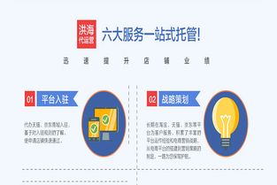 洛阳乾岚科技与拼奔科技 拼多多代运营服务靠谱性深度解析